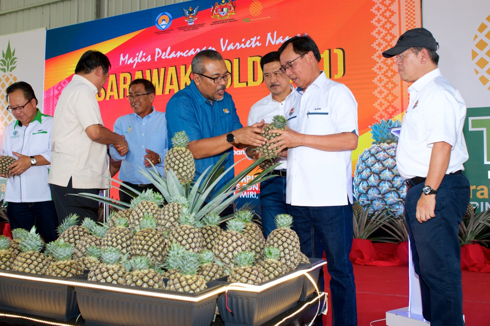 Majlis Pelancaran Varieti Nanas Sarawak Gold